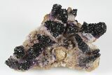 Calcite Crystal Cluster with Purple Fluorite (New Find) - China #177592-1